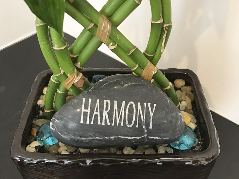 Harmony Dental Center